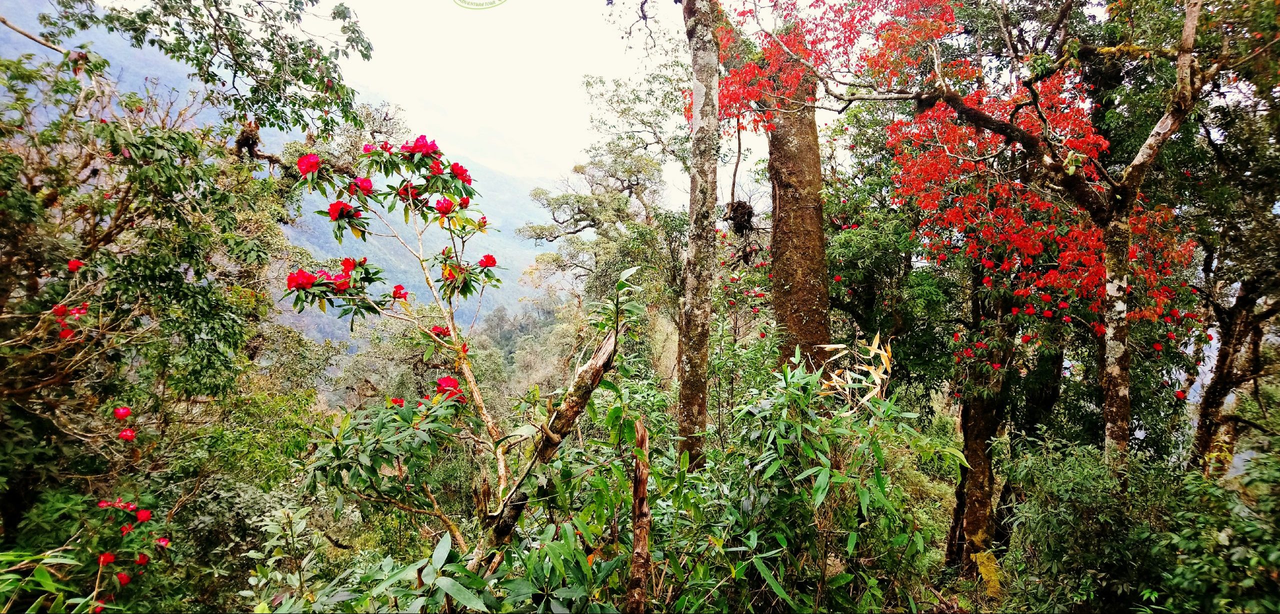 Cảnh đẹp bên đường đi